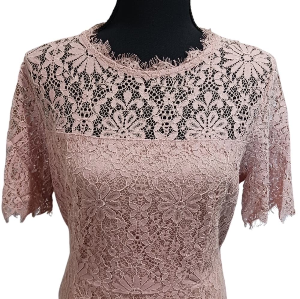 Lace Sheath Cocktail Dress Blush Pink - Picture 3 of 11